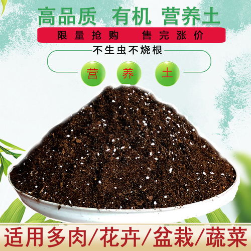 花土營養土種植土通用型多肉營養土綠蘿專用土花泥種菜種花營養土