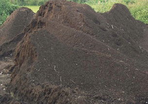 巢湖草炭土廠家 巢湖草炭土批發(fā) 巢湖草炭土加工