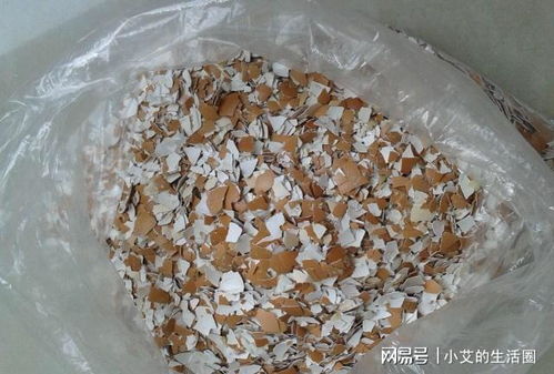 買什么營養(yǎng)土,這5種摻一起,比營養(yǎng)土好10倍,養(yǎng)什么花都瘋長