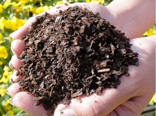 不花一分錢,自制養(yǎng)花營養(yǎng)土,松軟沒害蟲,營養(yǎng)肥力足,養(yǎng)啥爆啥