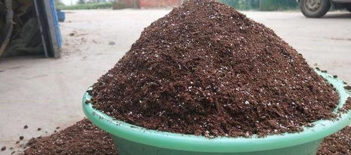 2位高材生1年賣 土 做到行業(yè)老大,一般人沒發(fā)現(xiàn),1月賺4000萬