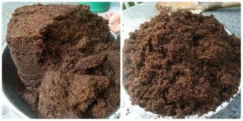 椰糠養(yǎng)花,方便實(shí)用,還買啥營養(yǎng)土呀 一塊椰糠磚種滿一陽臺