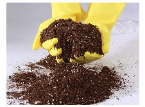 昂貴的營養(yǎng)土,調(diào)配有秘方,3種材料一搭配,就是萬能養(yǎng)花土