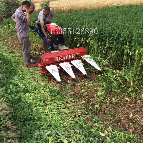 價格 廠家 中國供應(yīng)商