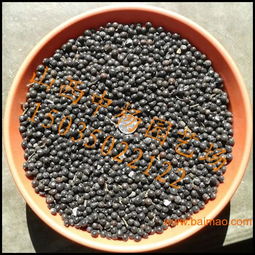 批優質北欒種子,南欒種子15噸,欲購從速,物優價廉,批優質北欒種子,南欒種子15噸,欲購從速,物優價廉生產廠家,批優質北欒種子,南欒種子15噸,欲購從速,物優價廉價格