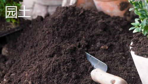 家庭盆栽選用的土壤類型,腐殖土 園土和沙土的使用建議