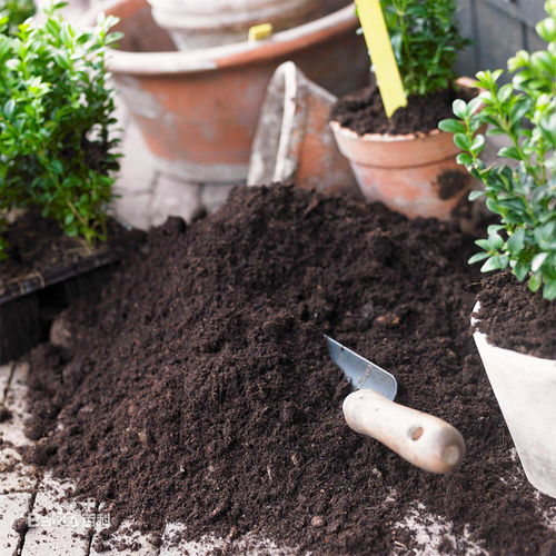 家庭園藝用品肥料種植營養土花卉有機肥通用型花肥種菜種花營養土