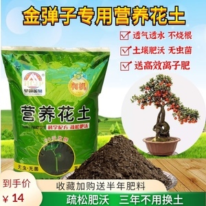 盆景專用營養土