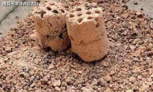 想要自制老花匠偏愛的營養土,就先準備好草木灰 松針 煤渣吧