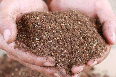 自制營養土最簡單的方法