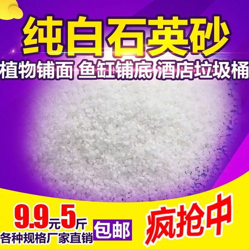多肉植物專用顆粒土——綠沸石、火山石、陶粒與麥飯石的完美組合
