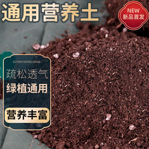 營養土的多樣應用 從通用種植到專業養護