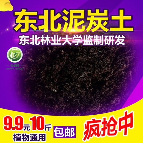多肉植物專用營(yíng)養(yǎng)土的全面解析與使用指南