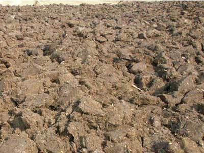 聊城膨脹珍珠巖栽培基質供應指南 助力現代農業發展