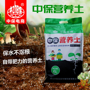 蘭花栽培新寵 解密蘭花有機營養土的科學奧秘