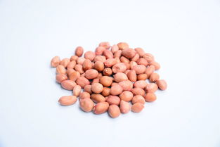 生花生米高清設(shè)計(jì)素材及飲品美食營養(yǎng)大全