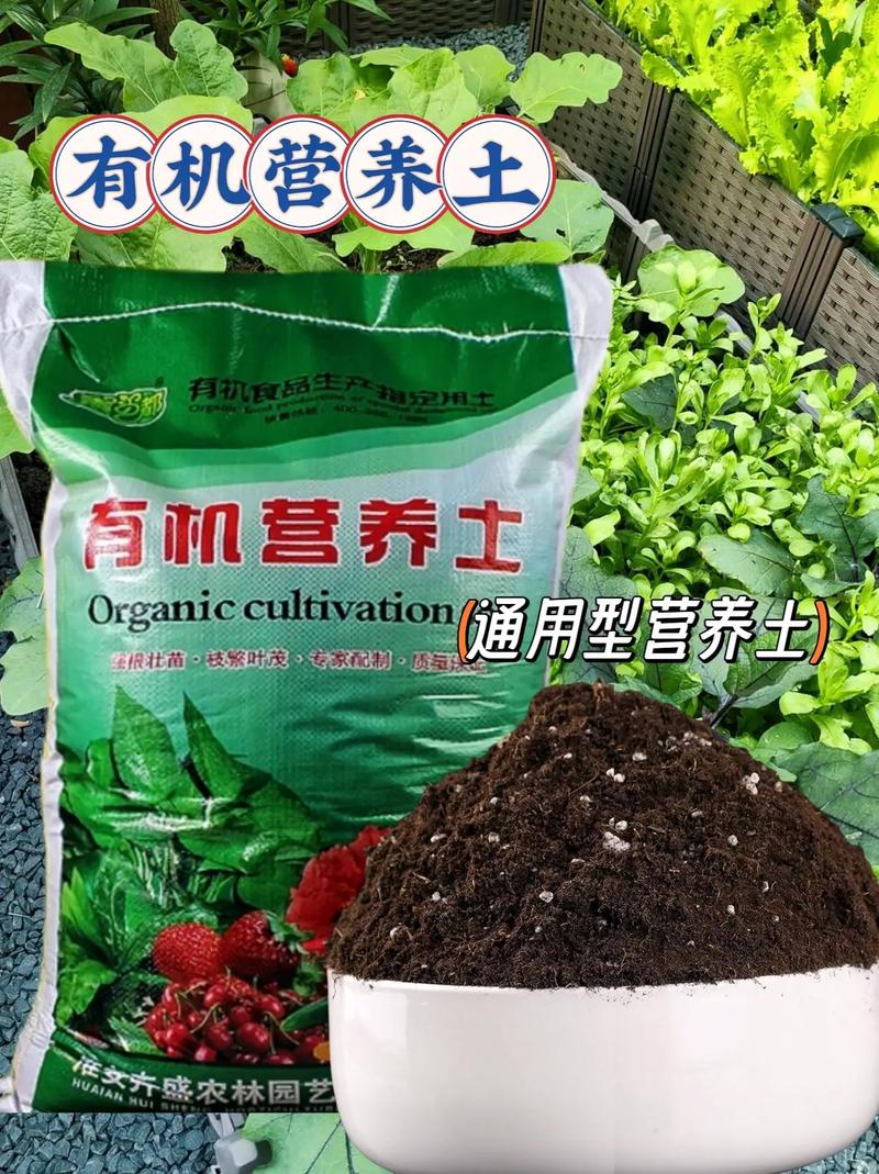 養(yǎng)花種菜通用型有機(jī)營養(yǎng)土 打造綠色家園的基石